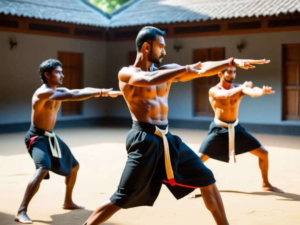 Iniciación en Kalaripayattu para principiantes: Grupo practica movimientos tradicionales bajo la luz del sol, guiados por un experimentado instructor